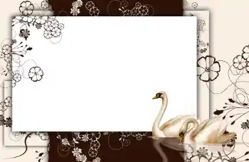 Εφέ φωτογραφιών στην κατηγορία Διαφορετικές № 112848