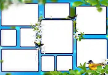 Εφέ φωτογραφιών στην κατηγορία Διαφορετικές № 112853