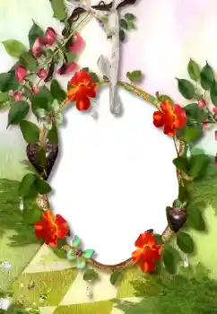 Εφέ φωτογραφιών στην κατηγορία Διαφορετικές № 113118