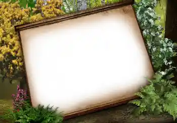 Εφέ φωτογραφιών στην κατηγορία Διαφορετικές № 113134