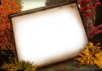 Εφέ φωτογραφιών στην κατηγορία Διαφορετικές № 113138