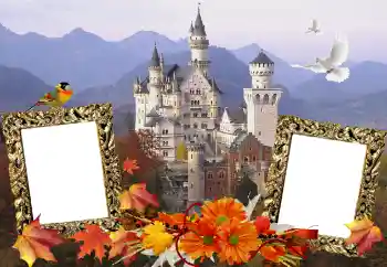 Εφέ φωτογραφιών στην κατηγορία Διαφορετικές № 114211