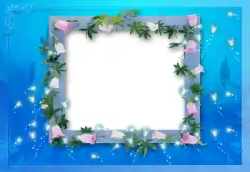 Εφέ φωτογραφιών στην κατηγορία Διαφορετικές № 114212