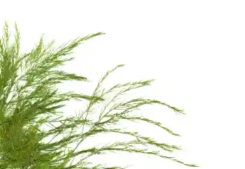 Εφέ φωτογραφιών στην κατηγορία Διαφορετικές № 114378