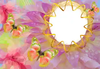 Εφέ φωτογραφιών στην κατηγορία Διαφορετικές № 114527