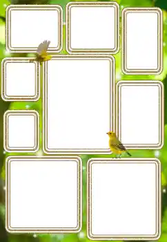 Εφέ φωτογραφιών στην κατηγορία Διαφορετικές № 114577