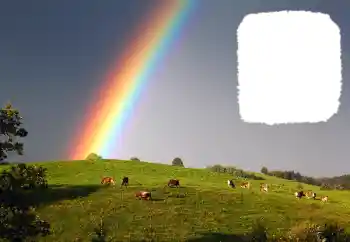 Εφέ φωτογραφιών στην κατηγορία Διαφορετικές № 114599