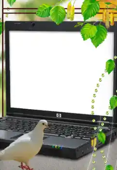 Εφέ φωτογραφιών στην κατηγορία Διαφορετικές № 114633