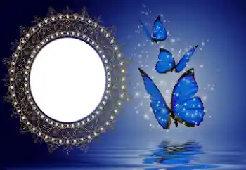 Εφέ φωτογραφιών στην κατηγορία Διαφορετικές № 114746