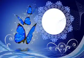 Εφέ φωτογραφιών στην κατηγορία Διαφορετικές № 114747