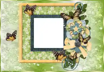 Εφέ φωτογραφιών στην κατηγορία Διαφορετικές № 114753