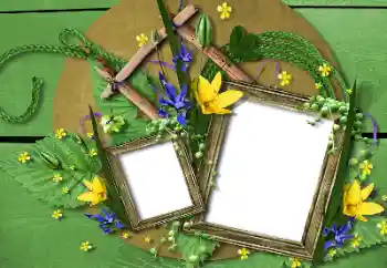 Εφέ φωτογραφιών στην κατηγορία Διαφορετικές № 115748