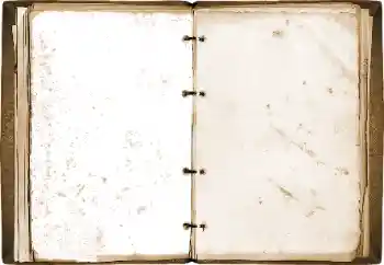 Εφέ φωτογραφιών στην κατηγορία Διαφορετικές № 115773