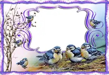 Εφέ φωτογραφιών στην κατηγορία Διαφορετικές № 115877 Εφέ φωτογραφιών στην κατηγορία Διαφορετικές № 115877