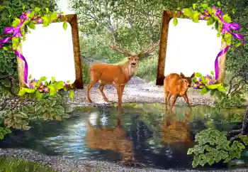 Εφέ φωτογραφιών στην κατηγορία Διαφορετικές № 115890 Εφέ φωτογραφιών στην κατηγορία Διαφορετικές № 115890