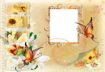 Εφέ φωτογραφιών στην κατηγορία Διαφορετικές № 115894 Εφέ φωτογραφιών στην κατηγορία Διαφορετικές № 115894