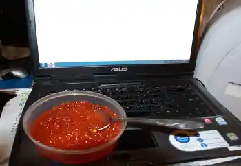 Εφέ φωτογραφιών στην κατηγορία Διαφορετικές № 115910 Εφέ φωτογραφιών στην κατηγορία Διαφορετικές № 115910