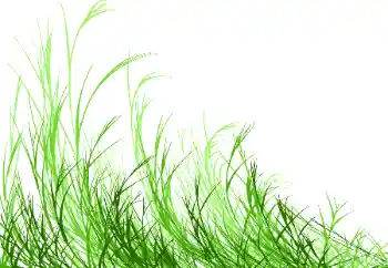 Εφέ φωτογραφιών στην κατηγορία Διαφορετικές № 115932 Εφέ φωτογραφιών στην κατηγορία Διαφορετικές № 115932