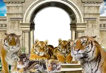 Εφέ φωτογραφιών στην κατηγορία Διαφορετικές № 116203 Εφέ φωτογραφιών στην κατηγορία Διαφορετικές № 116203