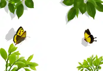 Εφέ φωτογραφιών στην κατηγορία Διαφορετικές № 117282 Εφέ φωτογραφιών στην κατηγορία Διαφορετικές № 117282