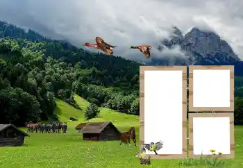 Εφέ φωτογραφιών στην κατηγορία Διαφορετικές № 118908 Εφέ φωτογραφιών στην κατηγορία Διαφορετικές № 118908