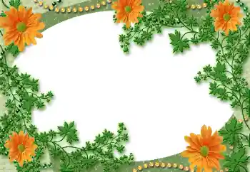 Εφέ φωτογραφιών στην κατηγορία Διαφορετικές № 118929 Εφέ φωτογραφιών στην κατηγορία Διαφορετικές № 118929