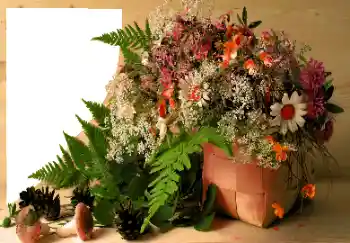 Εφέ φωτογραφιών στην κατηγορία Διαφορετικές № 120020 Εφέ φωτογραφιών στην κατηγορία Διαφορετικές № 120020