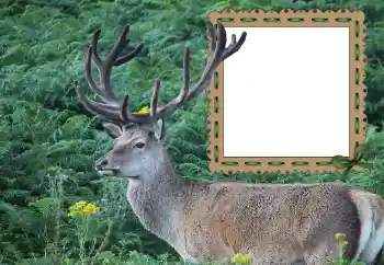 Εφέ φωτογραφιών στην κατηγορία Διαφορετικές № 121049 Εφέ φωτογραφιών στην κατηγορία Διαφορετικές № 121049