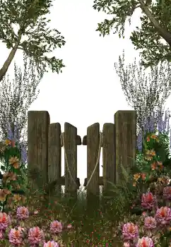 Εφέ φωτογραφιών στην κατηγορία Διαφορετικές № 123212 Εφέ φωτογραφιών στην κατηγορία Διαφορετικές № 123212