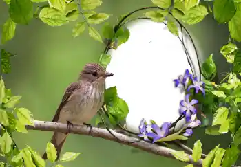Εφέ φωτογραφιών στην κατηγορία Διαφορετικές № 123219 Εφέ φωτογραφιών στην κατηγορία Διαφορετικές № 123219