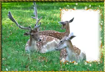 Εφέ φωτογραφιών στην κατηγορία Διαφορετικές № 123221 Εφέ φωτογραφιών στην κατηγορία Διαφορετικές № 123221