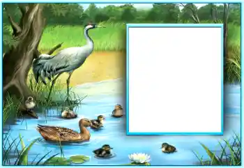 Εφέ φωτογραφιών στην κατηγορία Διαφορετικές № 124254 Εφέ φωτογραφιών στην κατηγορία Διαφορετικές № 124254