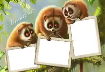 Εφέ φωτογραφιών στην κατηγορία Διαφορετικές № 124434 Εφέ φωτογραφιών στην κατηγορία Διαφορετικές № 124434