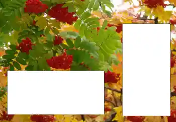 Εφέ φωτογραφιών στην κατηγορία Διαφορετικές № 124596 Εφέ φωτογραφιών στην κατηγορία Διαφορετικές № 124596