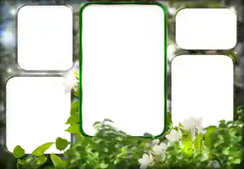 Εφέ φωτογραφιών στην κατηγορία Διαφορετικές № 125911 Εφέ φωτογραφιών στην κατηγορία Διαφορετικές № 125911