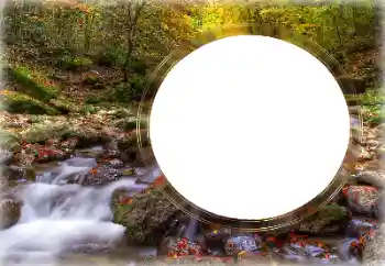 Εφέ φωτογραφιών στην κατηγορία Διαφορετικές № 126953