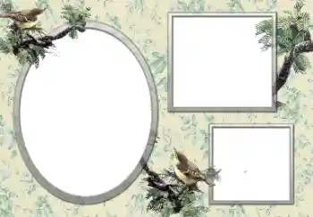 Εφέ φωτογραφιών στην κατηγορία Διαφορετικές № 127132 Εφέ φωτογραφιών στην κατηγορία Διαφορετικές № 127132