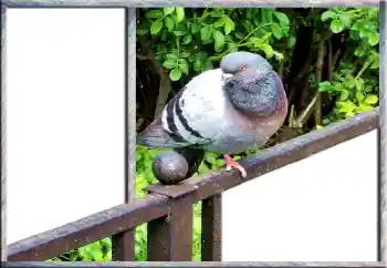 Εφέ φωτογραφιών στην κατηγορία Διαφορετικές № 127181