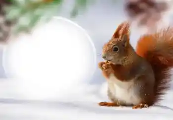 Εφέ φωτογραφιών στην κατηγορία Διαφορετικές № 128568 Εφέ φωτογραφιών στην κατηγορία Διαφορετικές № 128568