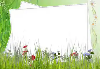 Εφέ φωτογραφιών στην κατηγορία Διαφορετικές № 12902