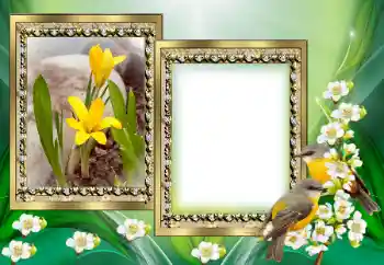 Εφέ φωτογραφιών στην κατηγορία Διαφορετικές № 130649