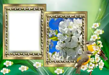 Εφέ φωτογραφιών στην κατηγορία Διαφορετικές № 130650