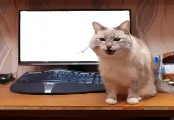 Εφέ φωτογραφιών στην κατηγορία Διαφορετικές № 130940 Εφέ φωτογραφιών στην κατηγορία Διαφορετικές № 130940