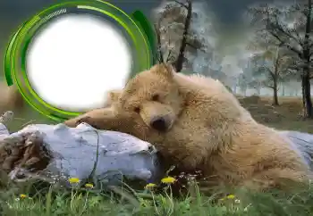 Εφέ φωτογραφιών στην κατηγορία Διαφορετικές № 131305