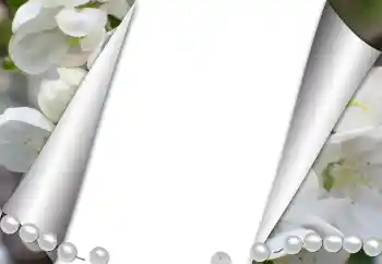 Εφέ φωτογραφιών στην κατηγορία Διαφορετικές № 131361