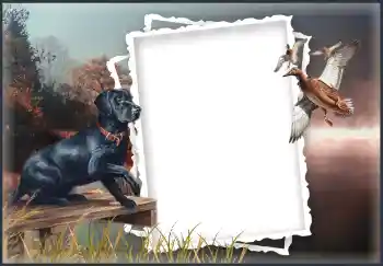 Εφέ φωτογραφιών στην κατηγορία Διαφορετικές № 132874 Εφέ φωτογραφιών στην κατηγορία Διαφορετικές № 132874