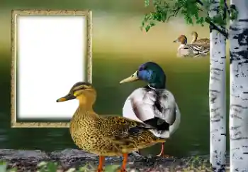 Εφέ φωτογραφιών στην κατηγορία Διαφορετικές № 132884 Εφέ φωτογραφιών στην κατηγορία Διαφορετικές № 132884