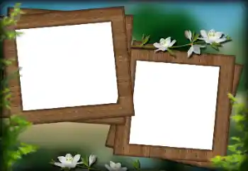 Εφέ φωτογραφιών στην κατηγορία Διαφορετικές № 132936