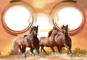 Εφέ φωτογραφιών στην κατηγορία Διαφορετικές № 133286