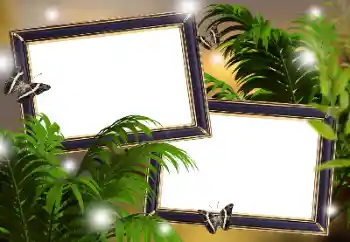 Εφέ φωτογραφιών στην κατηγορία Διαφορετικές № 133299